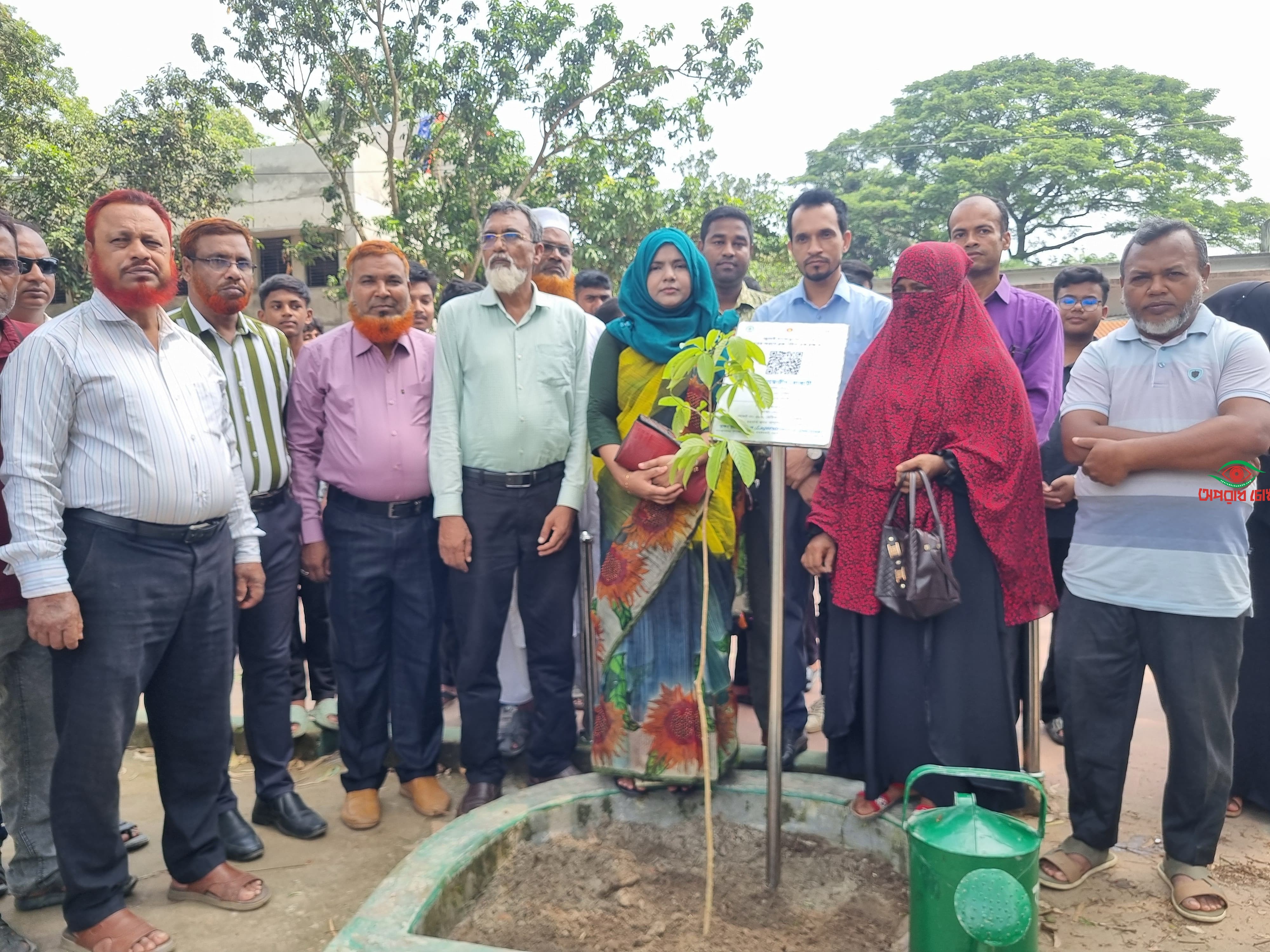 ধামইরহাটে শহিদ বায়োজিদ স্মরণে  বৃক্ষ কর্মসূচি অনুষ্ঠিত