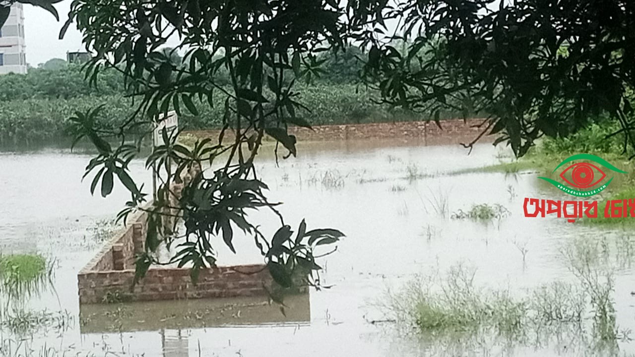 সাপাহারে মাঠের পানি নিষ্কাশন পথ বন্ধ আম বাগানের ব্যাপক ক্ষতির সম্ভাবনা 