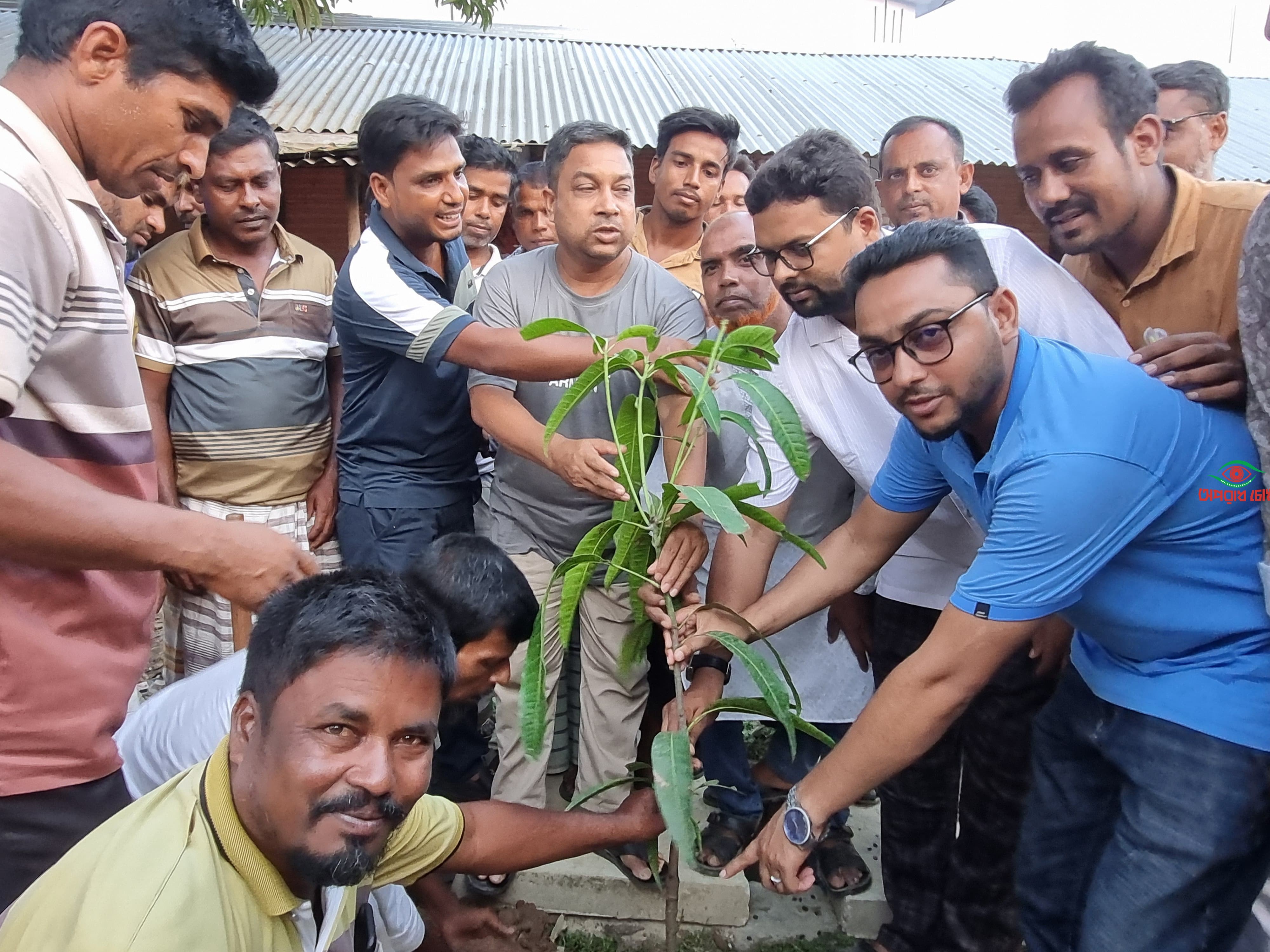  বিএনপির বৃক্ষরোপন কর্মসূচি