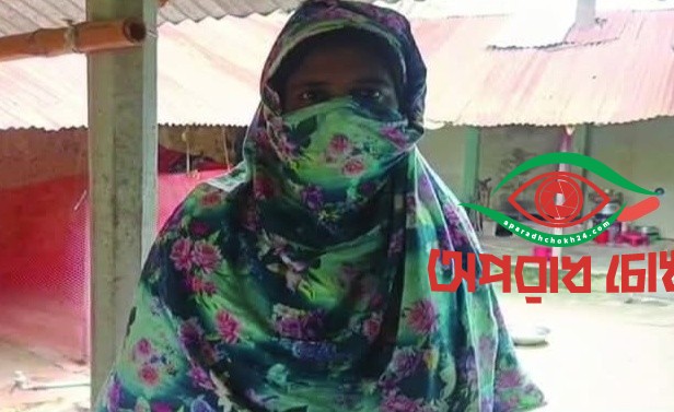  গৃহিণীকে অচেতন করে সর্বস্ব লুট