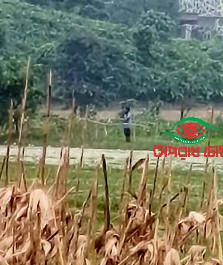 জামালপুরের সীমান্তে পুশ ইনের চেষ্টা