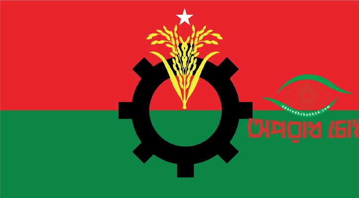 বিপর্যয়ের কারণ খুঁজছে বিএনপি