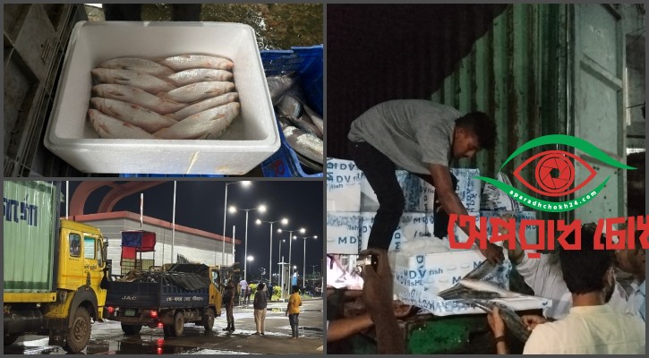  সাড়ে ৩৭ টন ইলিশ ভারতে রপ্তানি