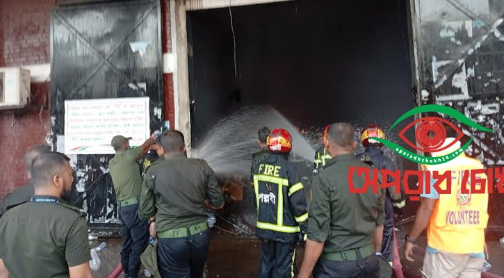 আগুন নির্বাপণে সহযোগিতায় নেমেছে আনসার