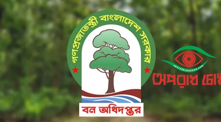 দুর্নীতি শাস্তির বদলে পদোন্নতি