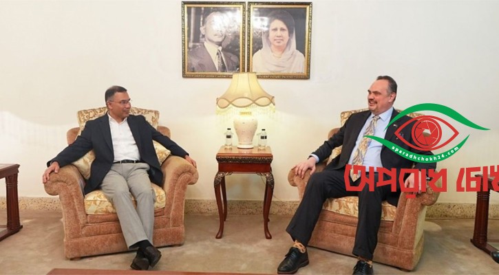 তারেক রহমানের দৃষ্টিভঙ্গি জানতে সাক্ষাৎ 