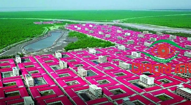 উজাড় ভাসানচরের উপকূলীয় বন