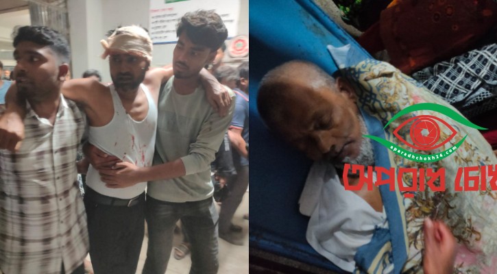 শিবগঞ্জে প্রেমঘটিত বিরোধের সালিশে হামলা