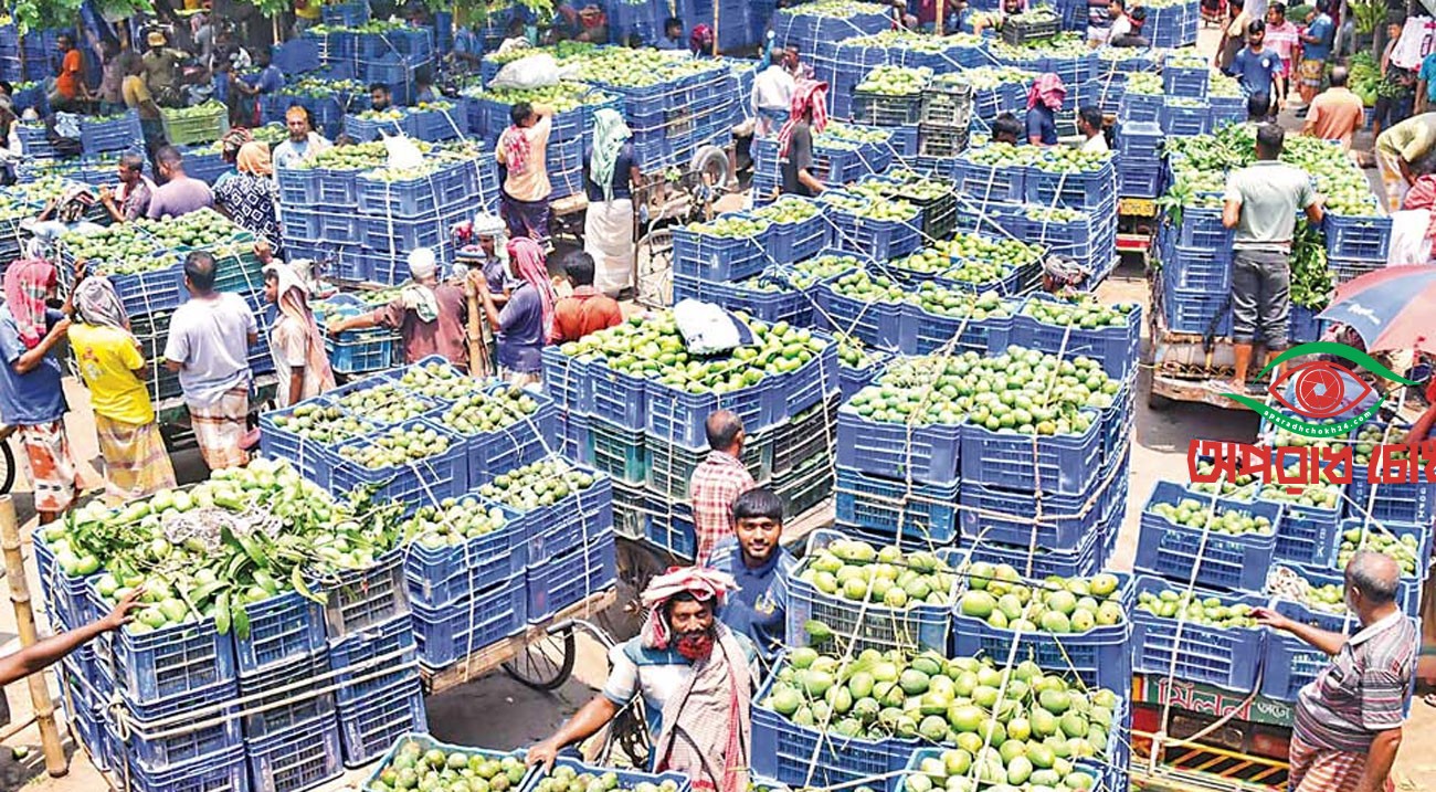 দাম কমে আমের বাজার এলোমেলো