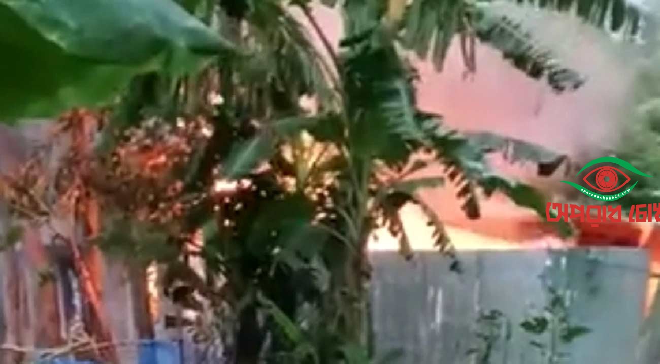 পাবনায় স্কুলছাত্রী রিয়া হত্যা