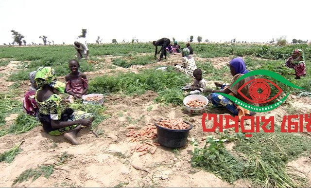 ১৩ জন কৃষককে অপহরণ করেছে বন্দুকধারীরা