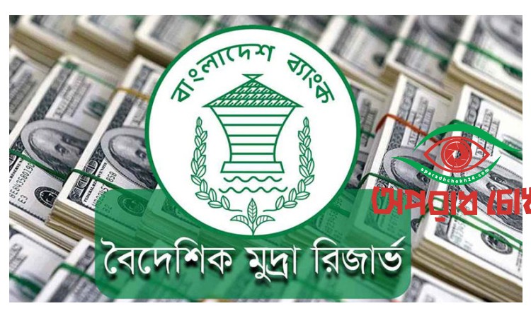 বৈদেশিক মুদ্রার রিজার্ভ ৩০.৮৯ বিলিয়ন ডলার