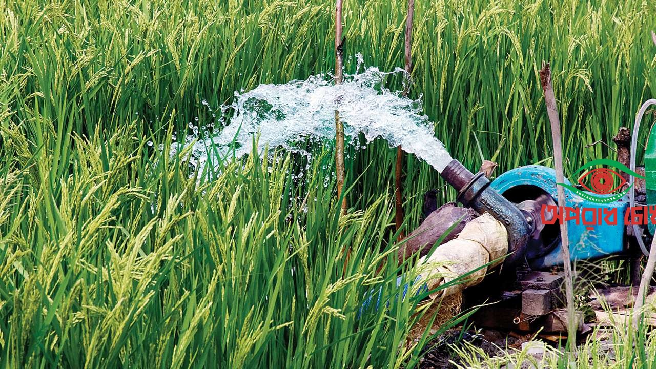 সেচ মৌসুমে বিদ্যুতের চাহিদা মেটাতে পদক্ষেপ নিচ্ছে