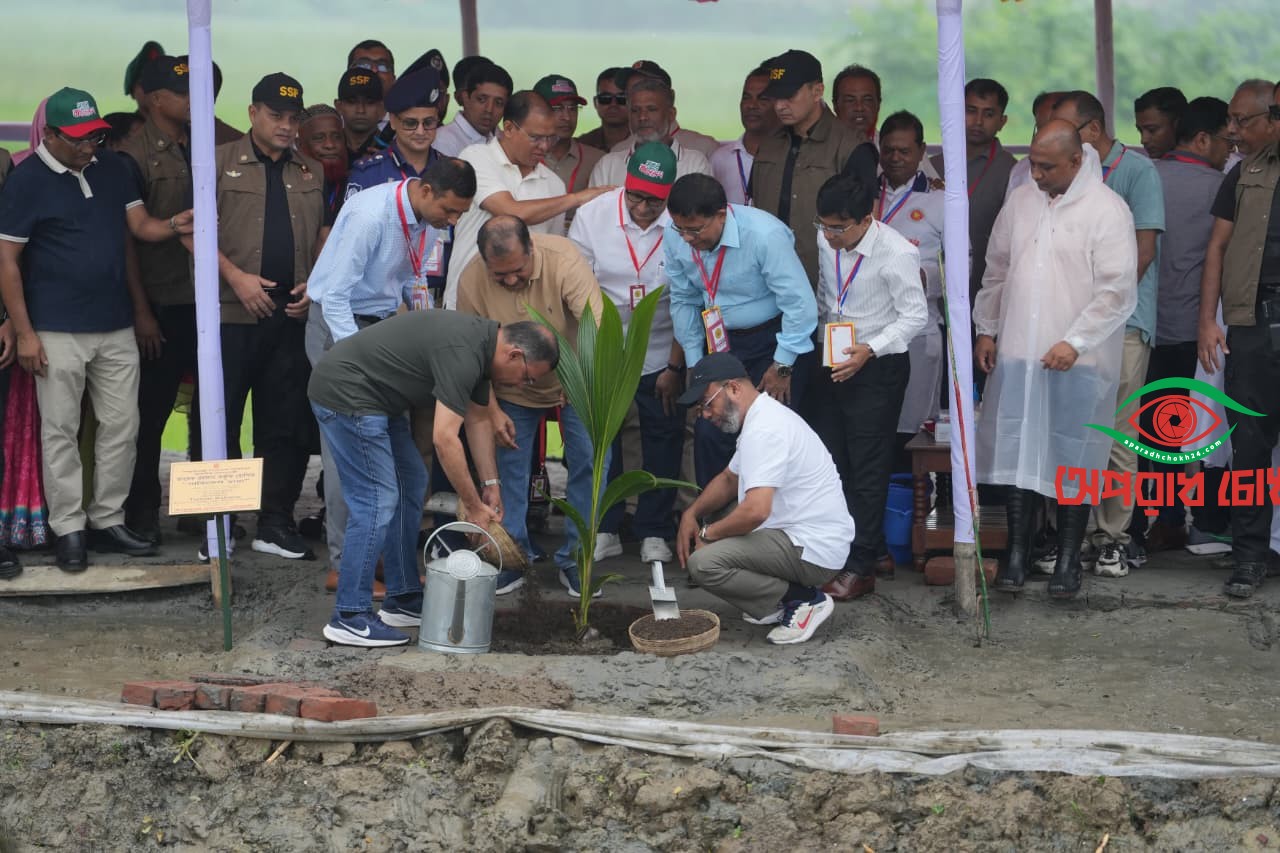 গৌরনদীতে বৃক্ষরোপণ কর্মসূচির উদ্বোধন প্রধানমন্ত্রীর